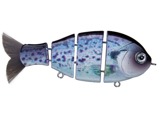 Bucca Brand Baby Bull Gill Swimbait
