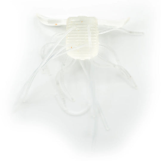 RAID Japan 1way Hybrid