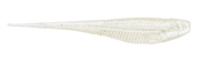Rapala CrushCity The Jerk
