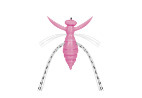Evergreen Gizmo Topwater Bait