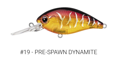 Evergreen CR-6 Crankbait