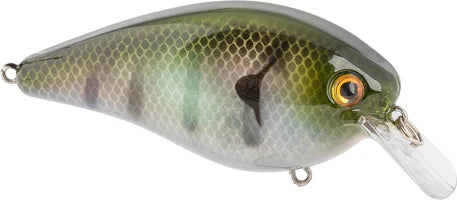 Strike King KVD Elite 2.5 Squarebill Crankbait