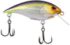 Berkley Shallow Money Badger Crankbait - 2.6"