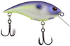 Berkley Shallow Money Badger Crankbait - 2.6"