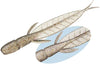 Evergreen C-4 Leech - 3.1 Inch