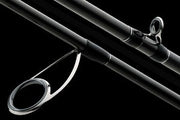 Daiwa ZILLION Spinning Rod
