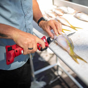 Bubba Lithium Ion Electric Fillet Knife Set