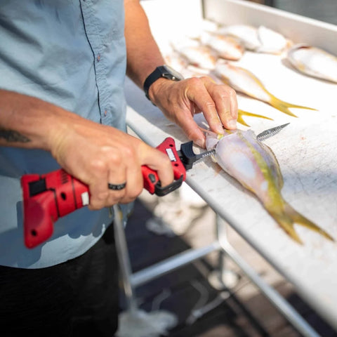 Bubba Lithium Ion Electric Fillet Knife Set