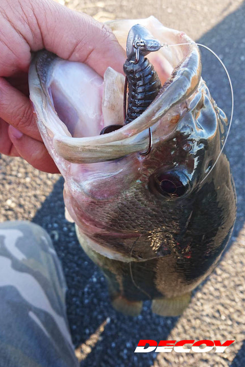 Decoy DS-13/DS-13H Switch Head Weight