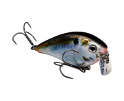 Strike King KVD 2.5 Wake Bait