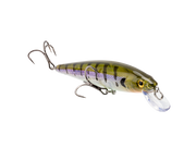 Strike King KVD Elite 200 Jerkbait
