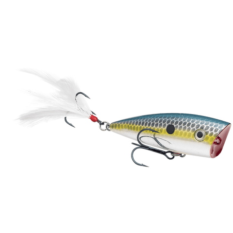 Strike King KVD Splash JR Topwater