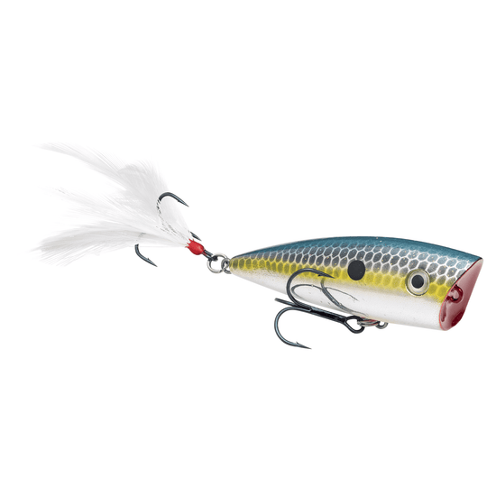 Strike King KVD Splash JR Topwater