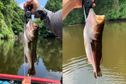 O.S.P Multi Fish Clip