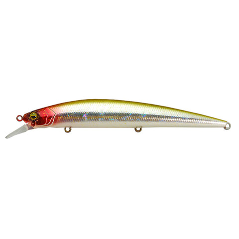 Raid Japan Level Minnow