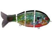 Bucca Brand Baby Bull Gill Swimbait