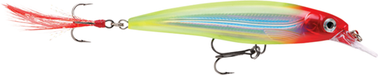 Rapala X-Rap® 06 2-1/2" Jerkbait