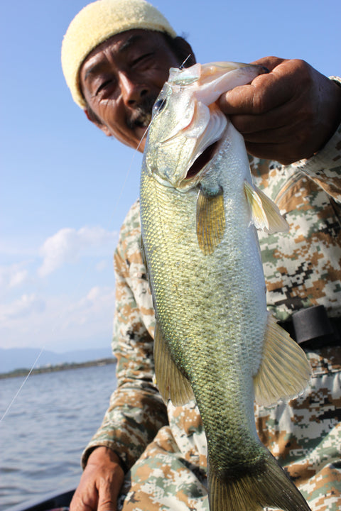 Decoy WORM117 HD Offset Hook