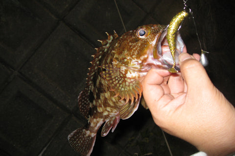 Decoy WORM117 HD Offset Hook