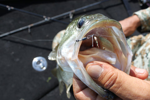 Decoy WORM120 HD Masubari Hook 5-Pack
