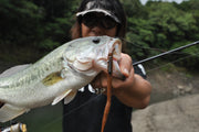 Decoy WORM217 Zero-Dan Hook
