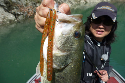 Decoy WORM220 Cover Finesse HD Hook