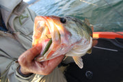 Decoy WORM23 Body Hook