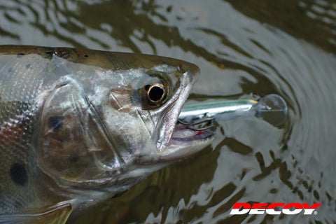 Decoy Y-F33F Treble Hook