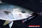 Decoy Y-S22 Treble Hook