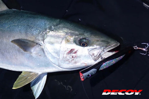 Decoy Y-S22 Treble Hook