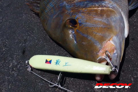 Decoy Y-S22 Treble Hook
