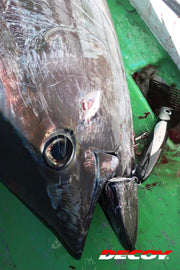 Decoy Y-S22 Treble Hook