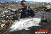 Decoy Y-S22 Treble Hook