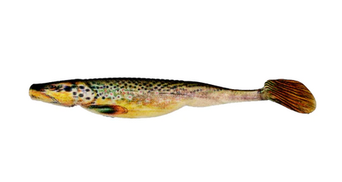 BioBait Swimbait 3.75" Pack of 6