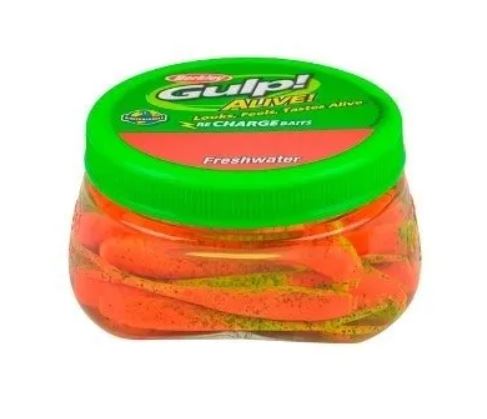 Berkley Gulp! Alive! Minnow Bucket