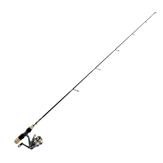 DAIWA LAGUNA LT REEL ICE Q COMBO