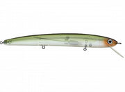 DAIWA SC SHAD