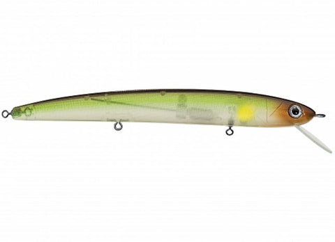 DAIWA SC SHAD