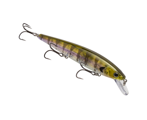 Strike King KVD Elite 300 Jerkbait