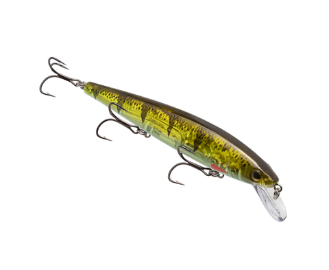 Strike King KVD Elite 300 Jerkbait