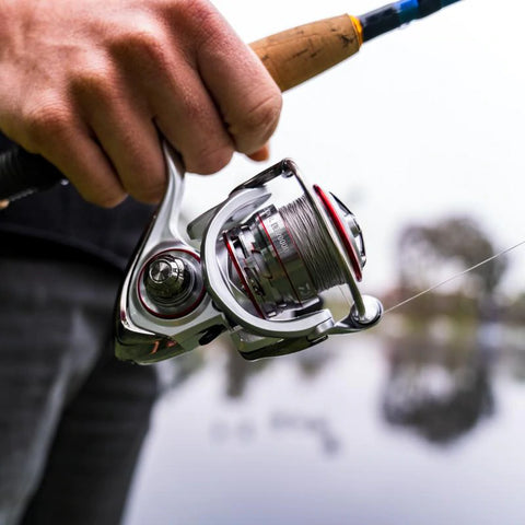 Daiwa Procyon AL Spinning Reel