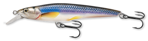 LiveTarget Rainbow Smelt Shallow Dive Jerkbait Silver/Blue
