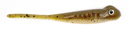 Set The Hook Drifter Minnow 3.25"