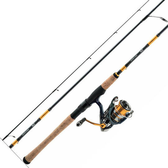 Daiwa Revros LT Combo