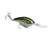 Strike King Pro Model 6XD Crankbait
