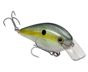 Strike King KVD 1.5 Hard Knock