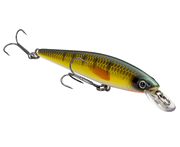 Strike King KVD Jerkbait 100