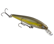 Strike King KVD Jerkbait 100