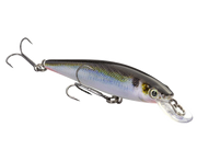 Strike King KVD Jerkbait 100