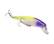 Strike King KVD Jerkbait 200